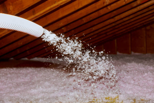 Best Home Insulation Services  in Plum, PA