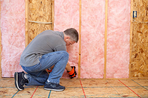 Best Insulation Removal  in Plum, PA