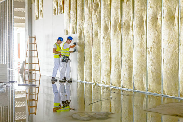 Best Professional Insulation Contractor  in Plum, PA